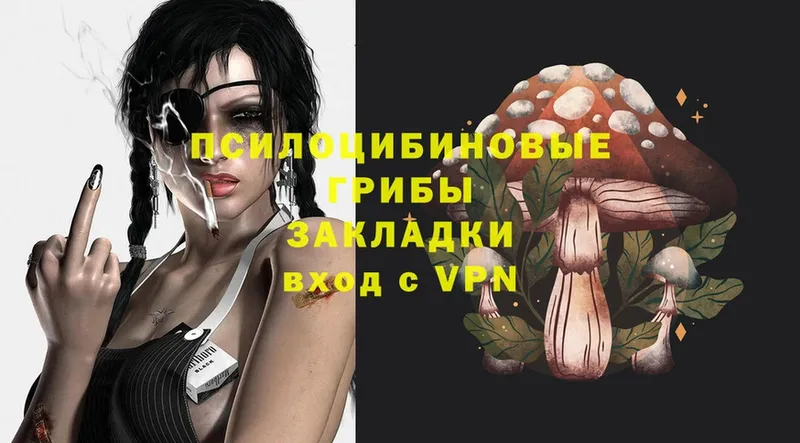 Галлюциногенные грибы Magic Shrooms  Донской 